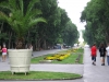 varna_5_msa