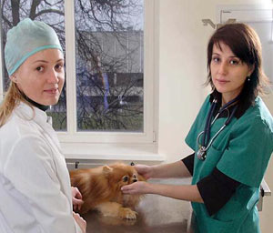 Faculty of Veterinary Medicine Kaunas